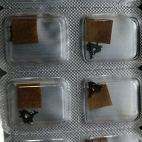 Watch movement accessories Swiss new original SW200 movement accessories calendar spring plate sw200-2595 single price