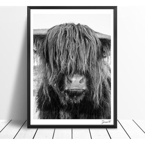 Modern Wall Art Highland Cow Print and Poster, Cattle Canvas Art Paintings for Living Room Decor, Animal Yak Wall Decoration