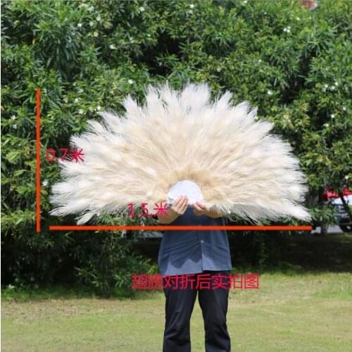 Peacock feather angel wings costume stage performance wedding Show Photography Studio