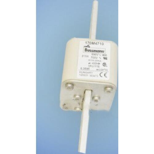 Fuses: 170M4708 200A 690V / 170M4709 250A / 170M4710 315A / 170M4711 350A 690V (1FU/115) aR