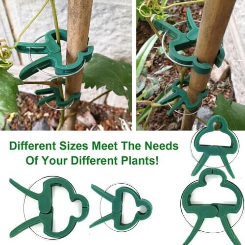40Pcs Plant Grafting Stakes Clamp Soft Greenhouse Perfect Support Grow Into Upright Lattice Clamps Gardening Supplies
