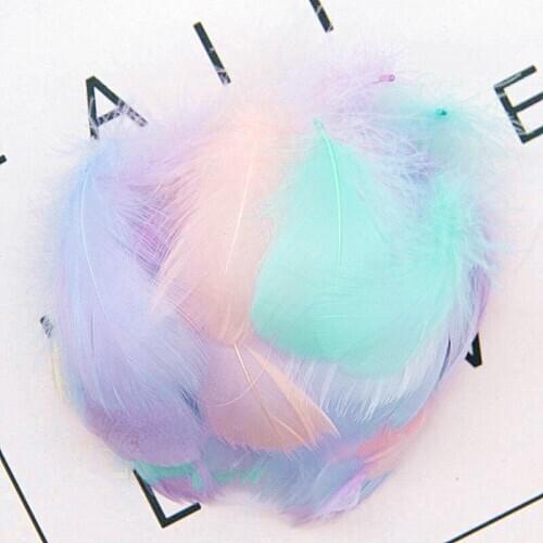 Plumes Macaron Natural Swan Feathers 4-15cm Goose Feather Colourful Plume for Wedding Party Clothing Decoration DIY Craft