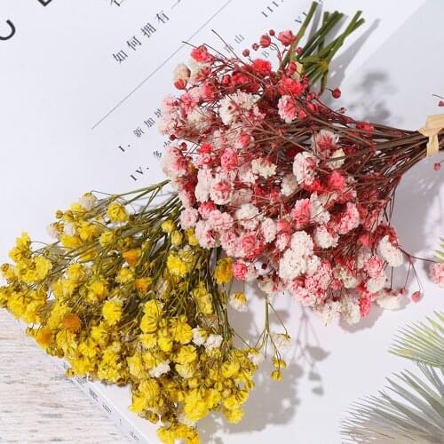 1Bouquet 9Colors Mini Babysbreath Natural Fresh Dried Preserved Flowers Small Real Flower Bouquet Home Party Decoration