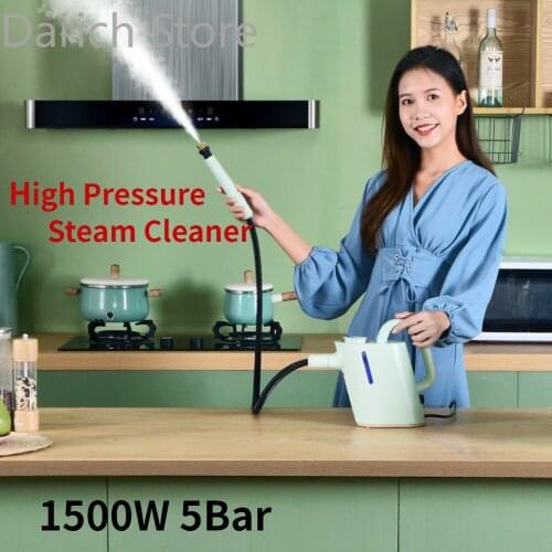 220V 1500Watt Household High Temperature Steam Cleaner Oil Removing Air Conditioner Steam Cleaning Machine