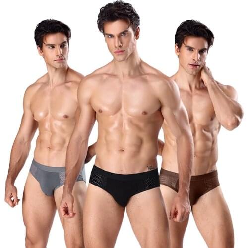 Gay Underwear Man Brand Bamboo Mesh Mens Underwear Briefs Soft Modal Panties Slips Brief Men Ice Silk slip Sexy Homme Tanga
