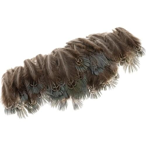 100Pieces Beautiful Pheasant Feathers 4-8cm Chicken Plume for DIY Party Craft Decoration