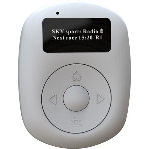 C1 1 inch OLED Screen Portable DAB DAB+ Sports Music Player FM Bluetooth-compatible Handsfree Broadcasting Radio with Earphones