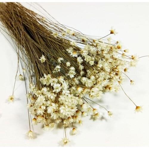 Flowers Miniature Tree Chariot Camouflage Net Military Train Train Scene Layout Scenario Sand Railway Vegetation Table Mode X2K8