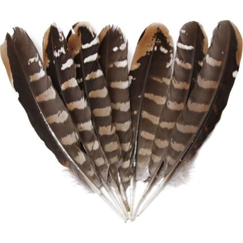 Wholesale 10 Pcs Top high quality scare natural eagle feathers 15-20CM 6-8 inch Pheasant feather Diy jewelry Wedding decoration