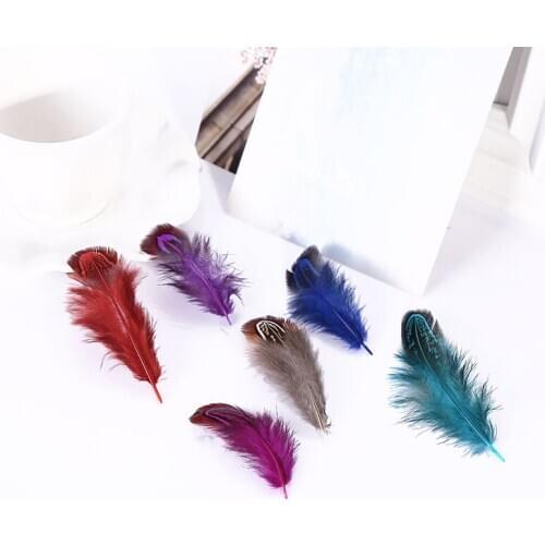 50 Pcs 4-8cm DIY Earring Necklace Wedding Party Decorative Multi-colour Pheasant Plume Feather Natural Feathers for Home Decor