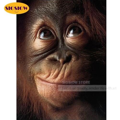 5D DIY Diamond Painting cross stitch kits chimpanzee Full Square Round 3D Diamond mosaic Embroidery animal needlework decor home