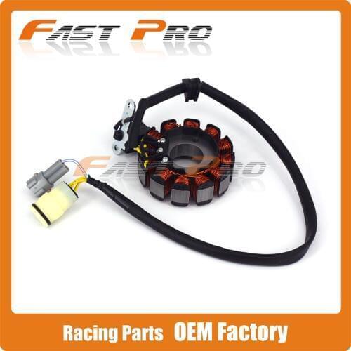 Motorcycle Stator Magneto Coil 12V 12coils For ZS177MM ZONGSHEN Engine NC250 KAYO T6 BSE J5 RX3 ZS250GY-3 4 Valves Parts