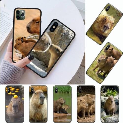 Cute Capybara animal Phone Case for iPhone 11 12 mini pro XS MAX 8 7 6 6S Plus X 5S SE 2020 XR