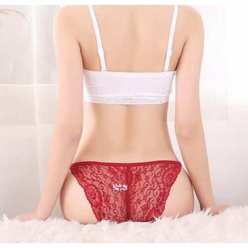 Womens Sexy Lace Panties Seamless Underwear Briefs Nylon Silk for Girls Ladies Bikini Cotton Crotch Transparent Lingerie