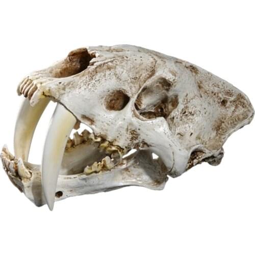 1:1 Saber-Toothed Tiger Resin Replica Skull Head Model Home Bar Decor Halloween Decoration Gifts