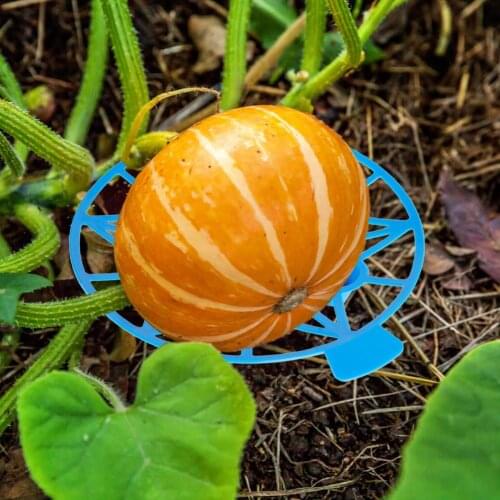 5pcs Watermelon Support Holder Melon Squash Cradles For Gardening Cantaloupe Pumpkins Prevent Rotting Green/Blue Color