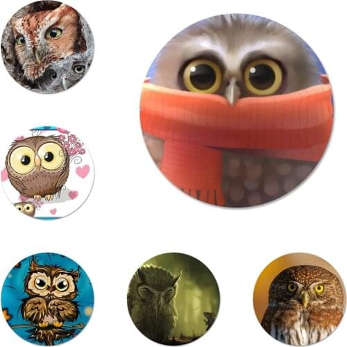 58mm Cute Owls Cartoon Icons Pins Badge Decoration Brooches Metal Badges For Clothes Backpack Decoration
