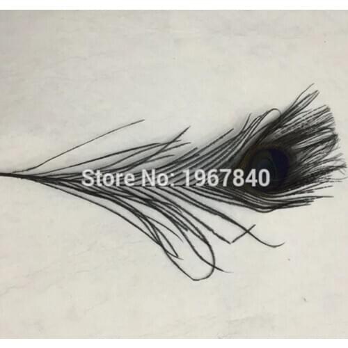 Wholesale high quality 10pcs/lot rare black peacock feather 25-30 cm / 10-12 inch DIY decoration