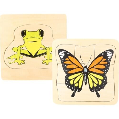 Montessori Wooden Material Frog and Butterfly Growth Jigsaw Puzzle Parent-Child Communication Training Game for Kids Children
