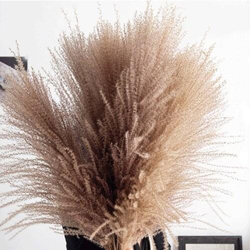 Pampas Grass Decor Wedding Natural Phragmites Real Dried Plants For Decor Home Wedding Christmas Decoration Flower Bunch