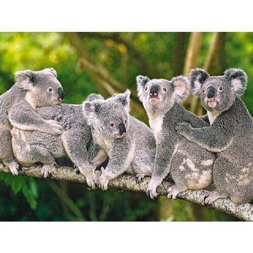 MHD Diamond painting cross-stitch kits A group of koalas full square rhinestones paintings diamond embroidery icons Home Decor