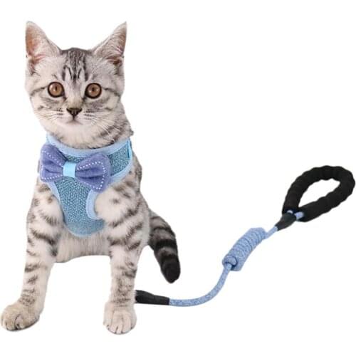 Pet Harness and Leash Adjustable Bowknot Creative Fashion Cat Training Collar and Harness for small cats животные зоотовары