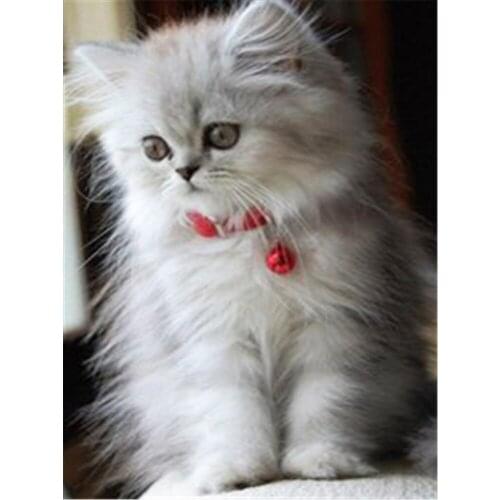 Cat Animal Printed 11CT Cross-Stitch Embroidery Patterns DMC Threads Craft Painting Knitting Handiwork Room Decor Decor