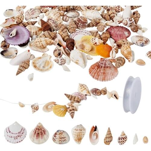 1 Box Mixed Shapes Natural Sea Shell Beads with Elastic Crystal Thread for DIY Jelwery Making Mixed Color Conch SeaShell Beads