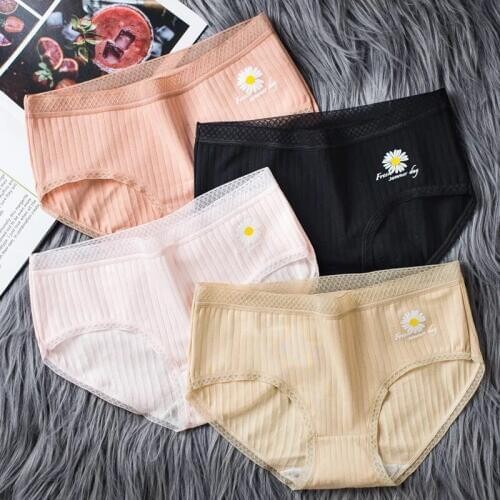 4 Pcs Kids Panties Baby Girls Daisy Print Underwear Children Everyday Short Briefs Teens Girls Shorts Underpants for 12-18T