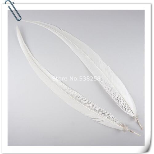 Silver pheasant feathers 75-80cm natural pure white color for craft dancer decoration plumages