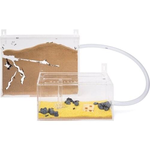 Anthouse.es Animal Care Items