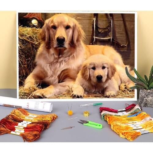 Animal Dachshund Printed Fabric 11CT Cross-Stitch Embroidery Kit DMC Threads Handiwork Handmade Knitting work Home Different