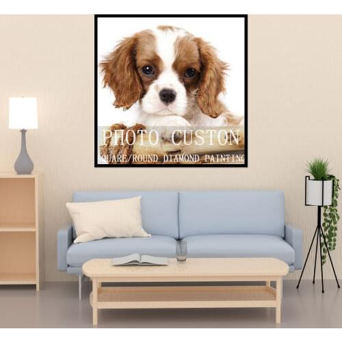 Lvhop Home And Garden Products