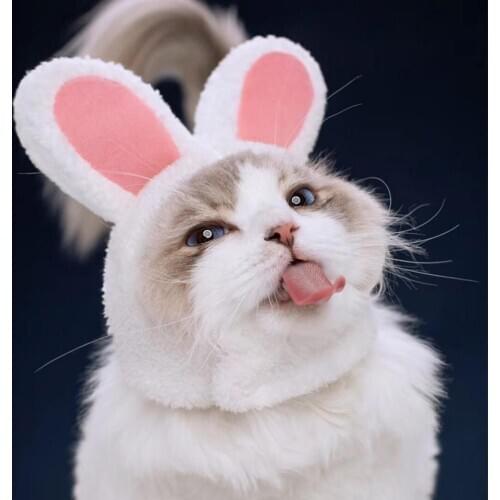 Cute Rabbit Ear Shape Headgear Hat Dog Teddy Bichon Cat Christmas Pet Dress Up Supplies Cosplay Products For Cat