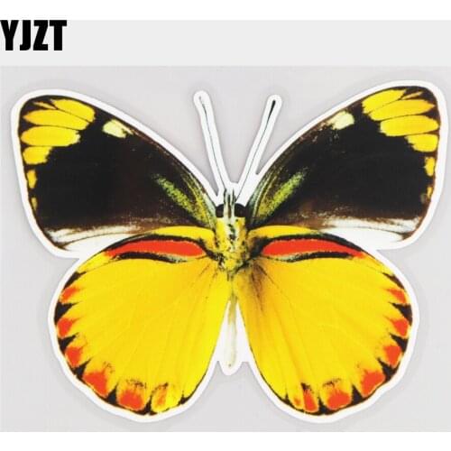 YJZT 15.9×12.4CM Beautiful Two-Color Butterfly Window Decoration Fashion Car Sticker Accessories 21A-0482