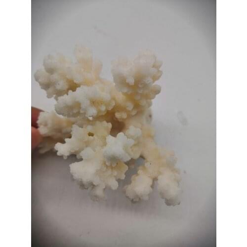 Simulation Coral Figurines Miniatures Modern Home Decoration Resin Crafts With Marble Base Living Room Desktop Wedding Decor