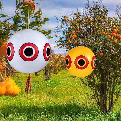 3PCS Balloons Anti-Bird Repellent Scary Eyes with Eye Sticker and Rope Reliable Visual Deterrent Farm Orchard Protector killer