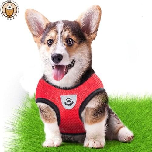 Dog harness and leash set puppy accessories dog harness dog collar accessories pink dog collar dog collar kitten collar