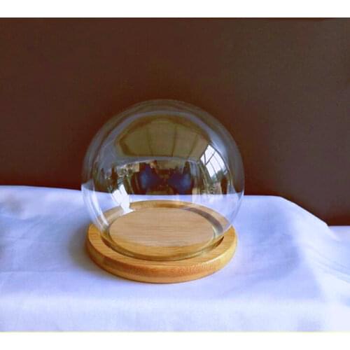 Bamboo Base Diameter=10cm Round Glass Dome Vase Home Decoration Creative Glass Dome Friend Gift Wedding Decoration