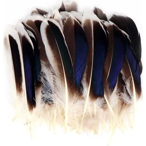 Wholesale Pheasant Feathers for Crafts 10-15CM 4-6" Natural Chicken Feathers for Jewelry Making Wedding Rooster Feathers Plumes