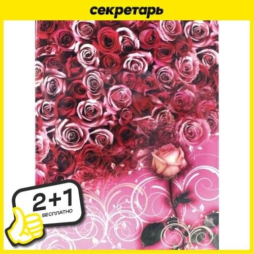 Рассвет Stationery Folders