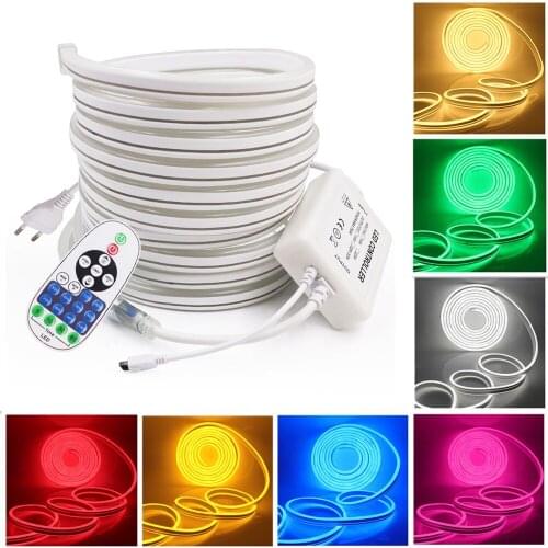 Double Sided Neon Strip Light Sign 2835 120Leds/m Waterproof Dimmable Remote Control Rope Tape Lamp 220V Supper Bright