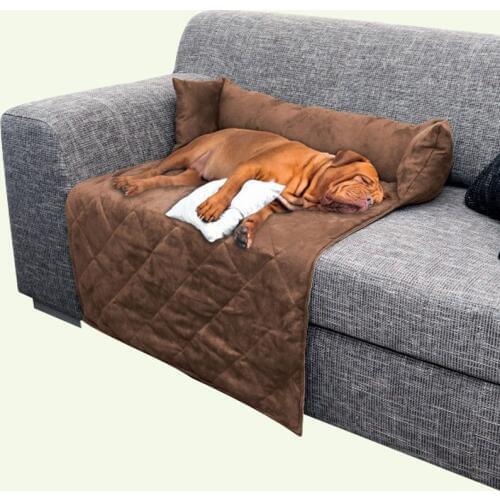 Dog Beds Loyal Dog China