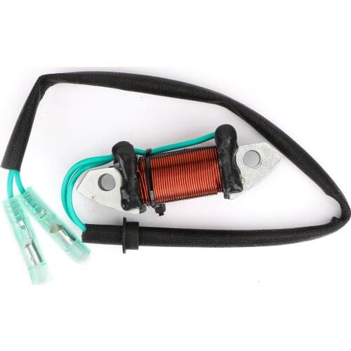 Areyourshop Generator Lighting Coil Fit for Yamaha 1989 - 1994 Outboard 40Hp 50Hp 2T Magneto Assembly 6H5-85533-01-00 Motor