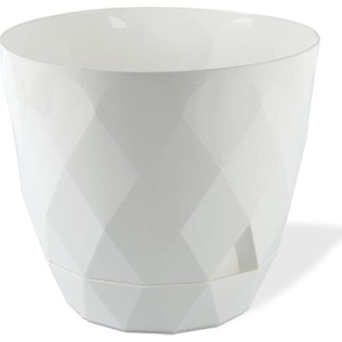 MF Botanical Glaucoma Phosphorescence Flower Pot 4,8 lt