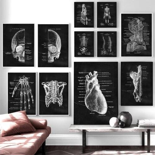 Black & White Muscle Foot Bone Wall Art Heart Anatomy Skeleton Canvas Painting Nordic Posters And Prints Infirmary Wall Pictures