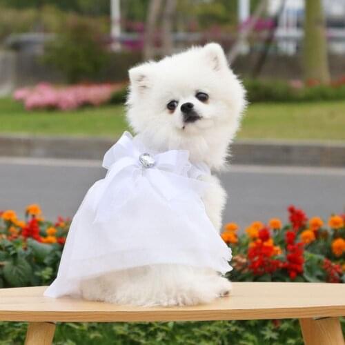 Teddy Wedding Skirt Bow-knot Decor Round Neck Polyester Adorable Pet Princess Dress for Party