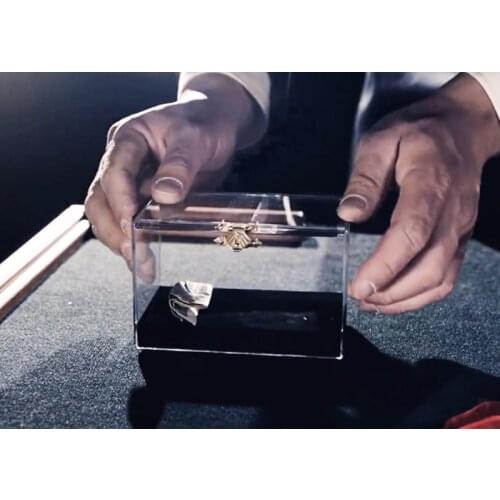 2017 New Arrivals Pro Switch Box (Gimmick+instruction),Close up magic,illusion,money magic,card magic trick