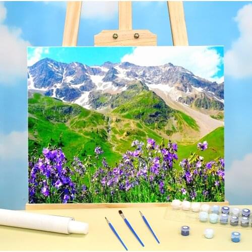 Flower Landscape DIY Paint By Numbers Kit Acrylic Paints 40*50 Oil Painting Home Decoration For Kids For Drawing Handicraft