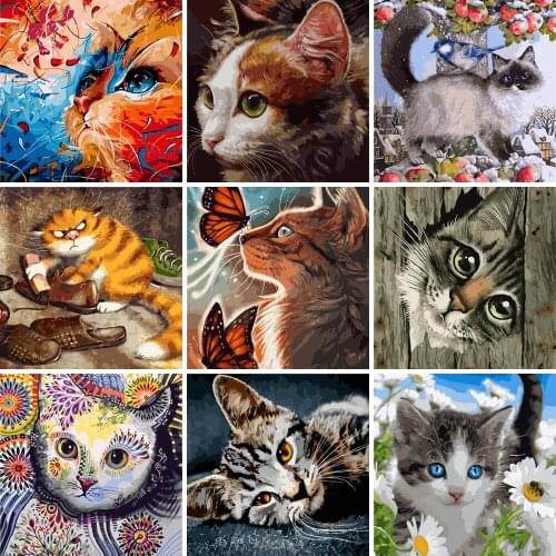 Abstract Paint By Number Full Kits No-Frame Canvas Painting 40x50cm 24 Colors For Adults Diff:3 Stars VA-0134